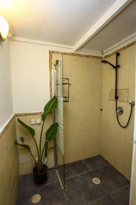 Magical 2 Story Old Jaffa Loft